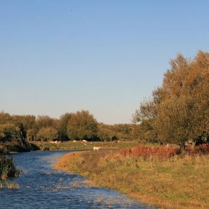 Romantische tandem fietstocht met picknick