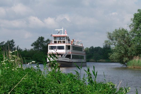 Ontdek de bruisende Brabantse Biesbosch