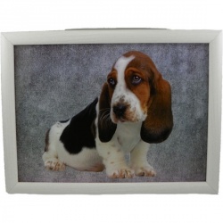 Laptop Kussen Bassethond